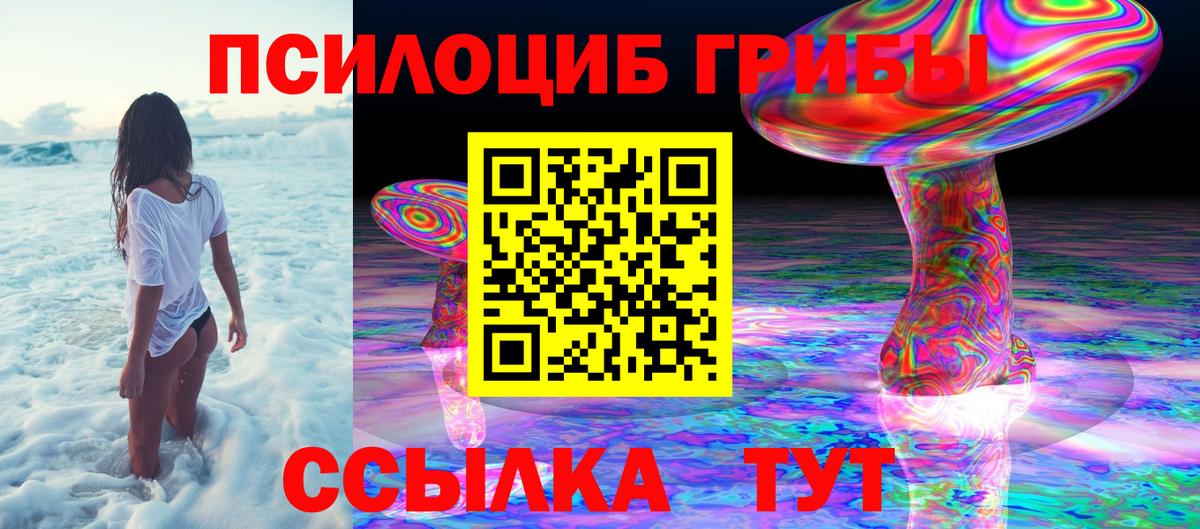 Кузнецк  как найти наркотики  Вход с VPN  Галлюциногенные грибы MAGIC MUSHROOMS 